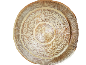 Placemet goud rond 38 cm