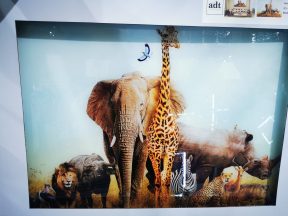 Glasschilderij verschillende dieren 60 x80 cm