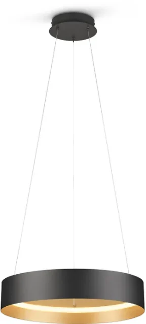 Trio Loop hanglamp zwart/goud TOONZAALMODEL