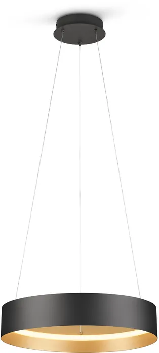 Trio Loop hanglamp zwart/goud TOONZAALMODEL